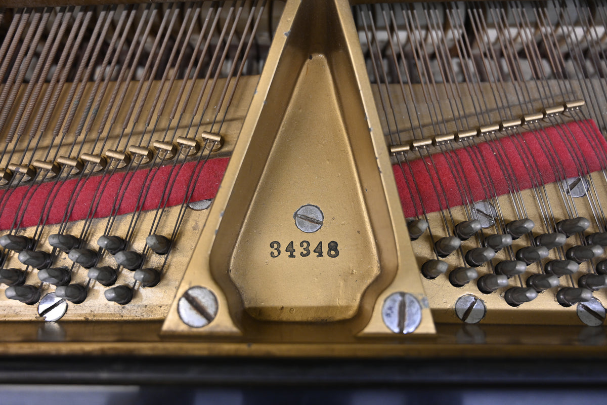 Mason and Hamlin AA Grand Piano