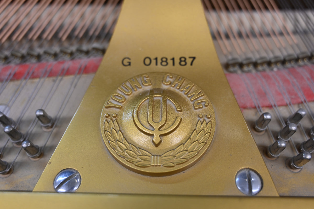 Young Chang G-157 Baby Grand Piano
