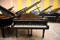 Steinway & Sons M Parlor Grand Piano