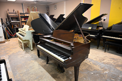 Steinway & Sons M Parlor Grand Piano