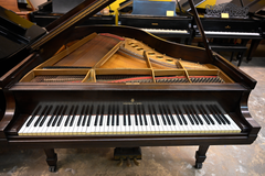 Steinway & Sons M Parlor Grand Piano
