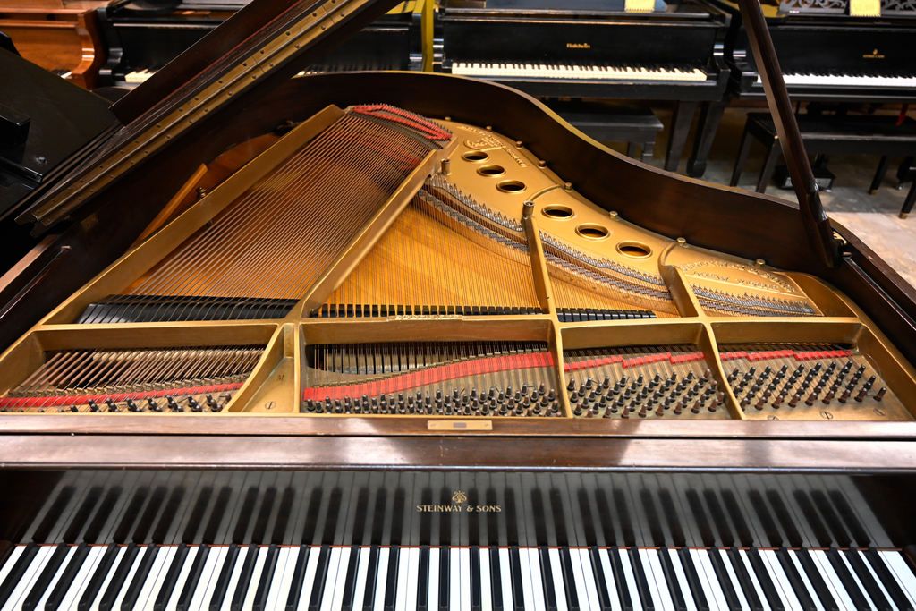 Steinway & Sons M Parlor Grand Piano