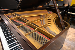 Steinway & Sons M Parlor Grand Piano