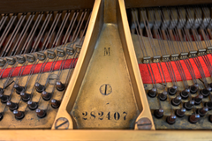Steinway & Sons M Parlor Grand Piano