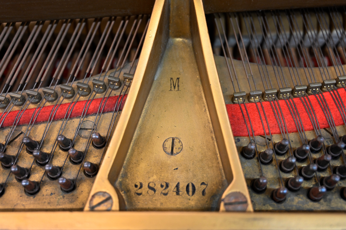 Steinway & Sons M Parlor Grand Piano