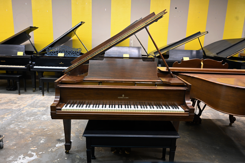 Steinway & Sons M Parlor Grand Piano