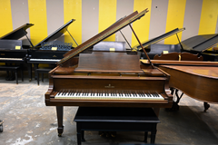 Steinway & Sons M Parlor Grand Piano