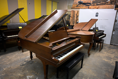Steinway & Sons M Parlor Grand Piano
