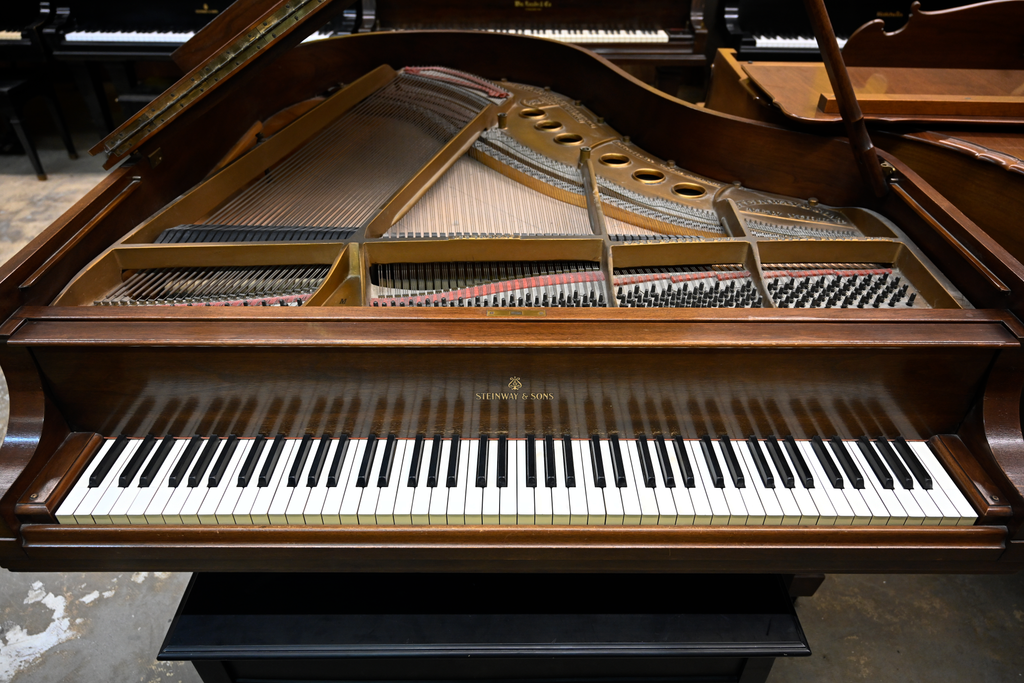 Steinway & Sons M Parlor Grand Piano