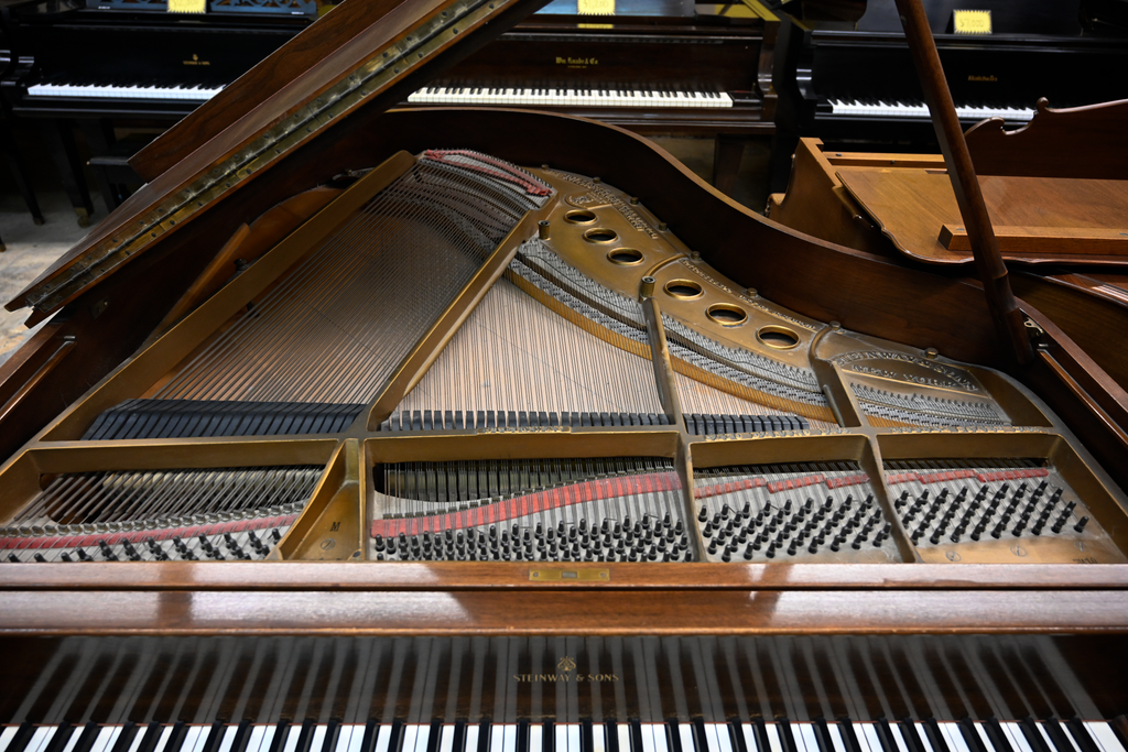 Steinway & Sons M Parlor Grand Piano