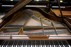 Steinway & Sons M Parlor Grand Piano