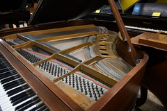 Steinway & Sons M Parlor Grand Piano