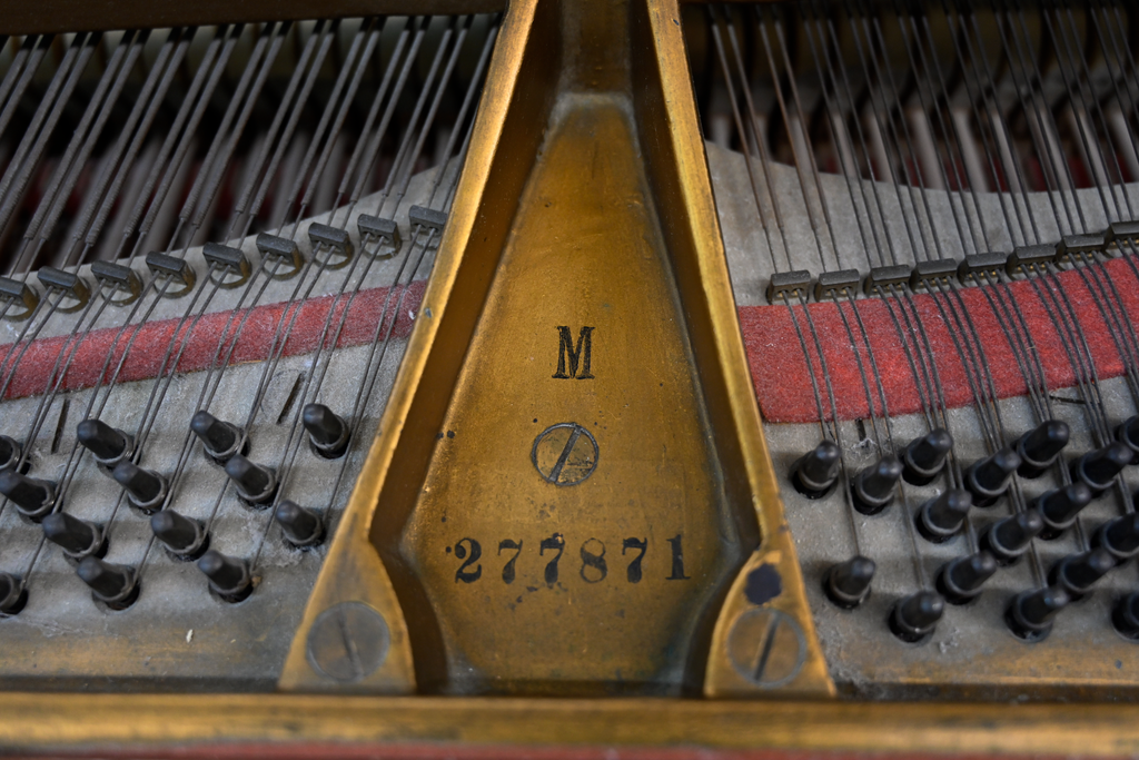 Steinway & Sons M Parlor Grand Piano