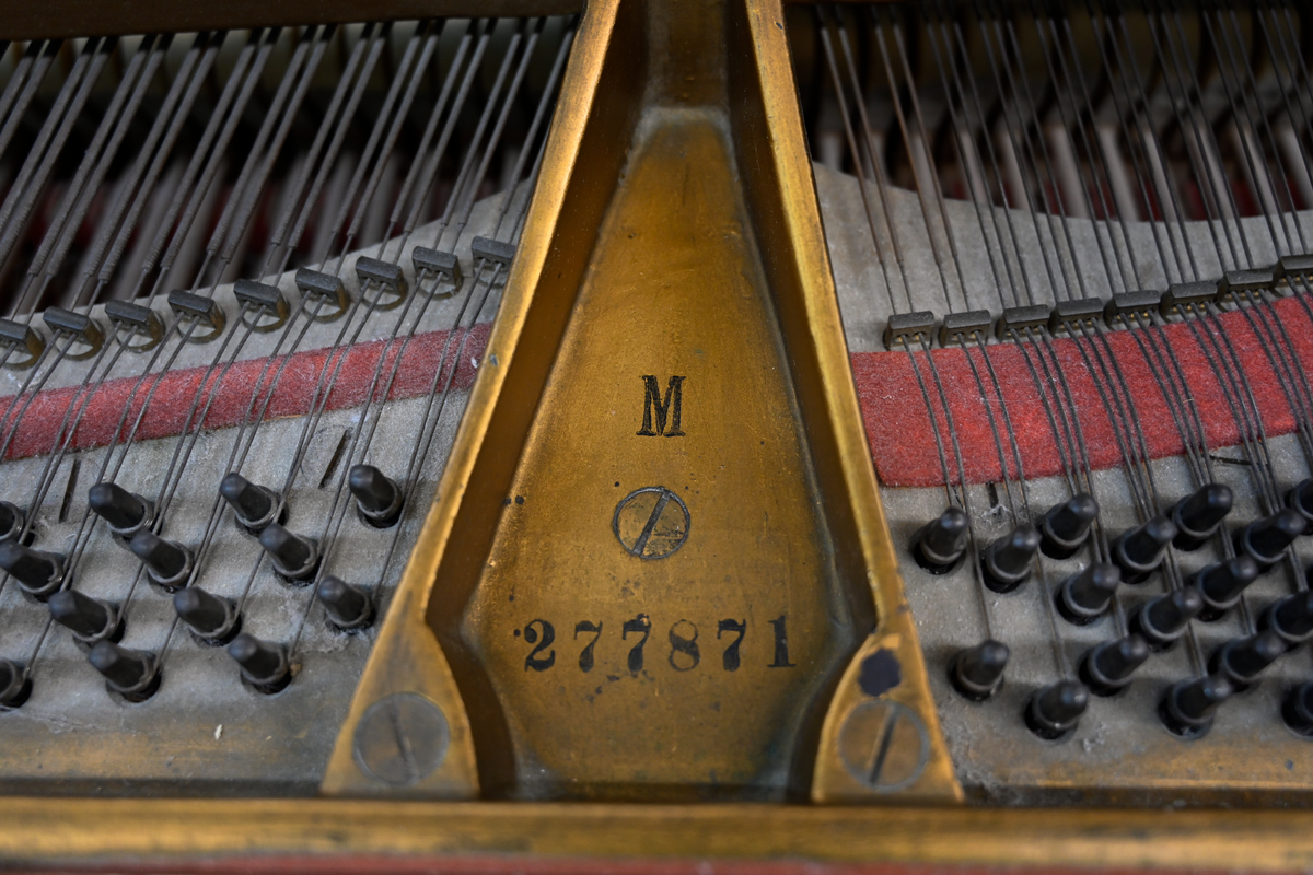 Steinway & Sons M Parlor Grand Piano