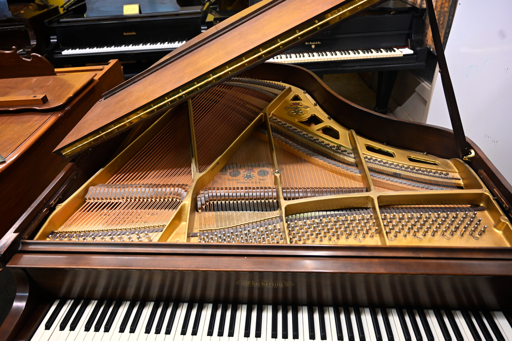 Chickering The Quarter Grand Baby Grand Piano