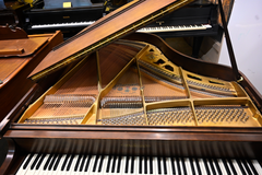 Chickering The Quarter Grand Baby Grand Piano