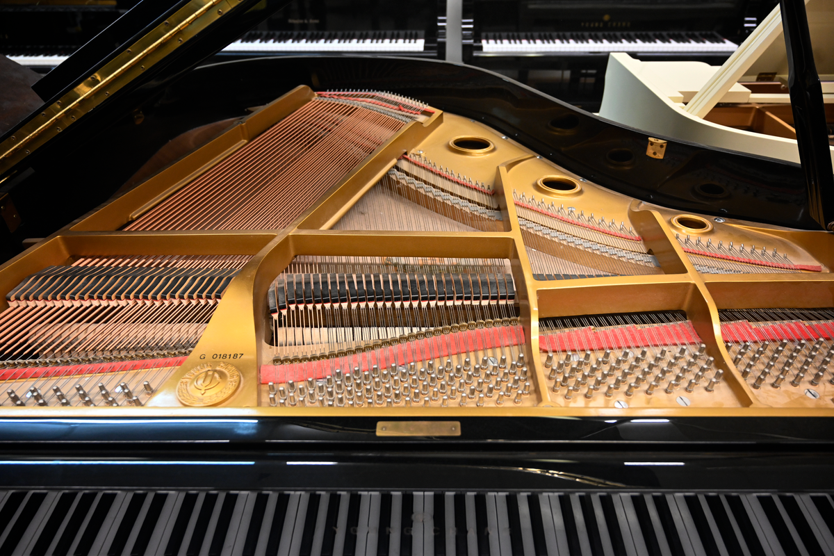 Young Chang G-157 Baby Grand Piano