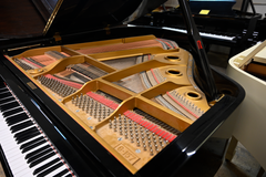 Young Chang G-157 Baby Grand Piano