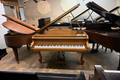 Steinway & Sons M Parlor Grand Piano