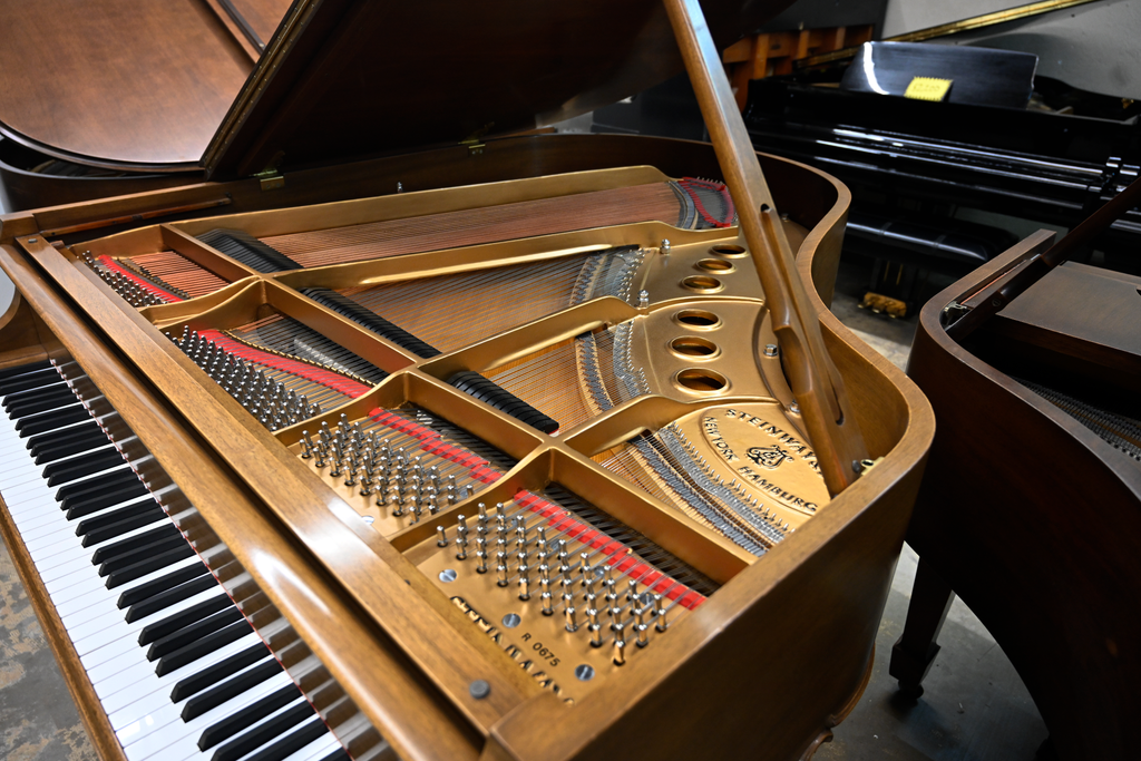 Steinway & Sons M Parlor Grand Piano