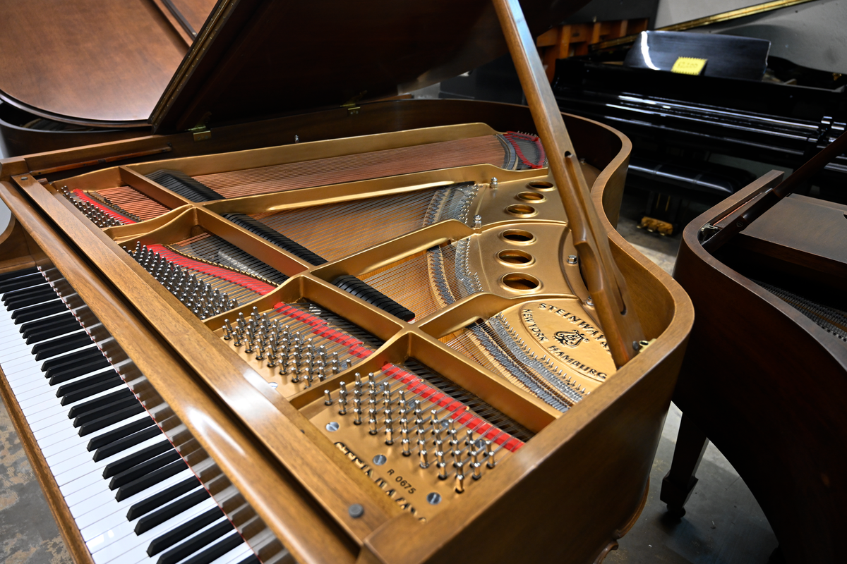 Steinway & Sons M Parlor Grand Piano