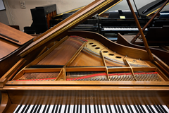 Steinway & Sons M Parlor Grand Piano