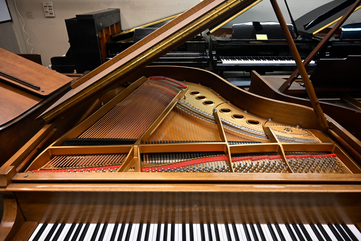 Steinway & Sons M Parlor Grand Piano