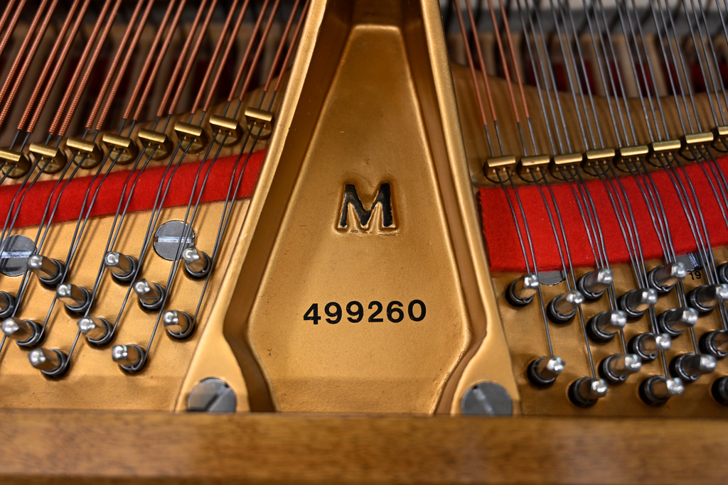 Steinway & Sons M Parlor Grand Piano