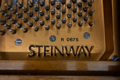 Steinway & Sons M Parlor Grand Piano