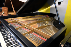 Mason and Hamlin AA Grand Piano