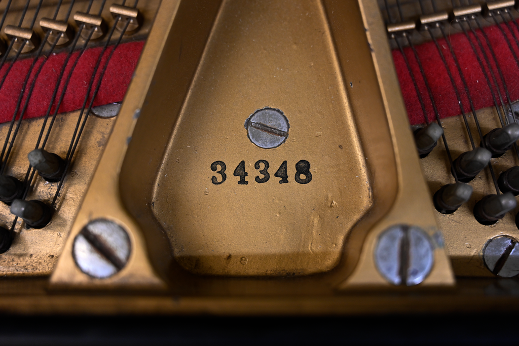 Mason and Hamlin AA Grand Piano